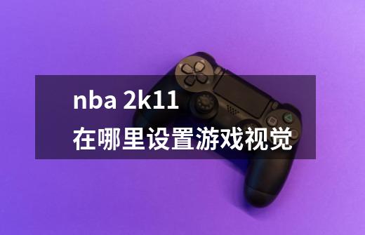 nba 2k11 在哪里设置游戏视觉-第1张-游戏资讯-龙启科技