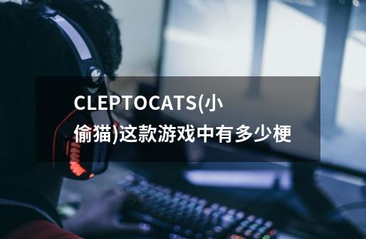 CLEPTOCATS(小偷猫)这款游戏中有多少梗-第1张-游戏资讯-龙启科技