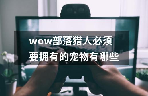 wow部落猎人必须要拥有的宠物有哪些-第1张-游戏资讯-龙启科技