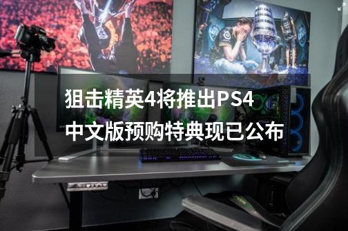 狙击精英4将推出PS4中文版预购特典现已公布-第1张-游戏资讯-龙启科技