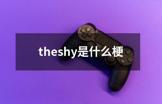 theshy是什么梗-第1张-游戏资讯-龙启科技