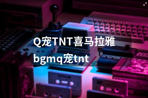 Q宠TNT喜马拉雅bgmq宠tnt-第1张-游戏资讯-龙启科技