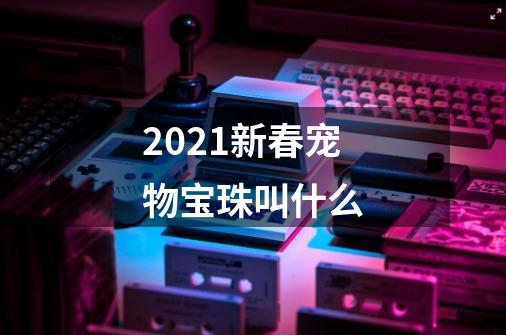 2021新春宠物宝珠叫什么-第1张-游戏资讯-龙启科技