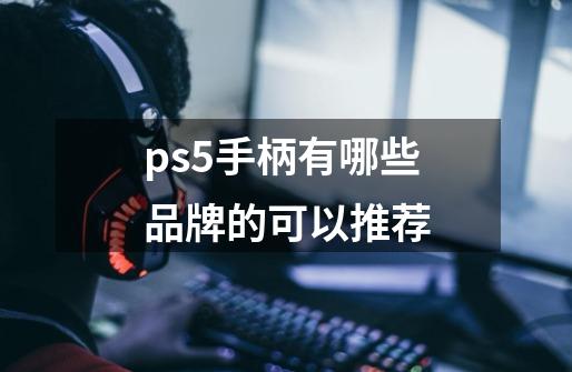 ps5手柄有哪些品牌的可以推荐-第1张-游戏资讯-龙启科技