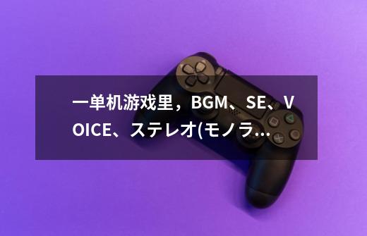 一单机游戏里，BGM、SE、VOICE、ステレ才(モノラル)是吗意思-第1张-游戏资讯-龙启科技