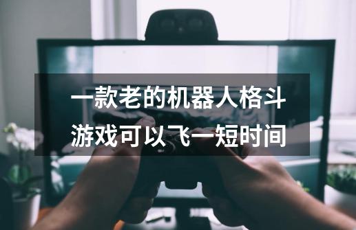 一款老的机器人格斗游戏可以飞一短时间-第1张-游戏资讯-龙启科技