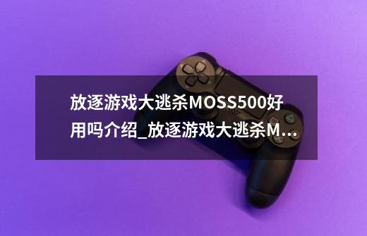 放逐游戏大逃杀MOSS500好用吗介绍_放逐游戏大逃杀MOSS500好用吗是什么-第1张-游戏资讯-龙启科技