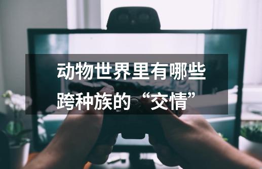 动物世界里有哪些跨种族的“交情”-第1张-游戏资讯-龙启科技