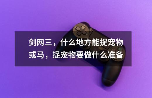 剑网三，什么地方能捉宠物或马，捉宠物要做什么准备-第1张-游戏资讯-龙启科技