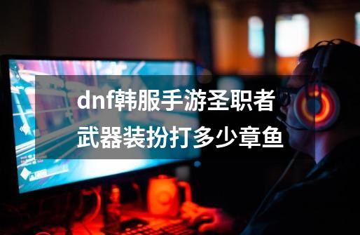 dnf韩服手游圣职者武器装扮打多少章鱼-第1张-游戏资讯-龙启科技