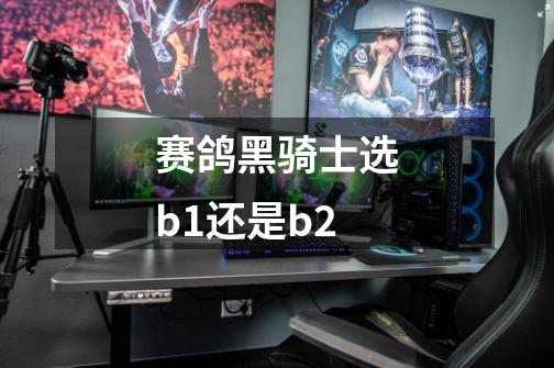 赛鸽黑骑士选b1还是b2-第1张-游戏资讯-龙启科技