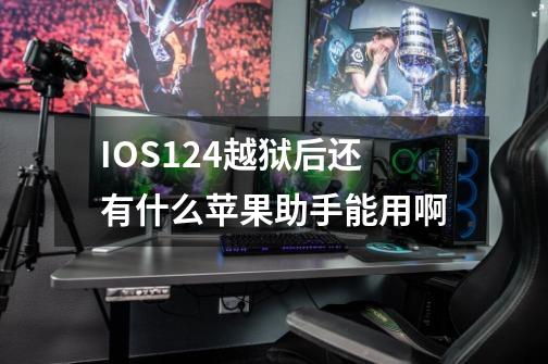 IOS12.4越狱后还有什么苹果助手能用啊-第1张-游戏资讯-龙启科技