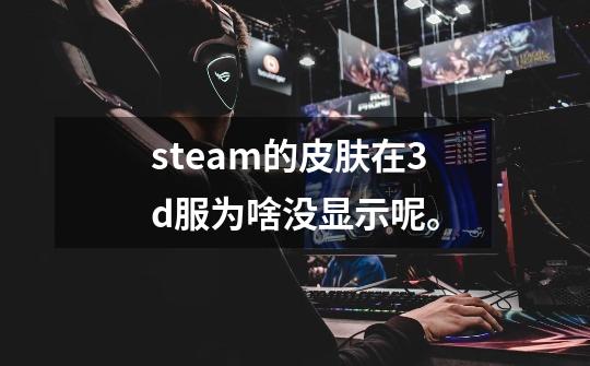 steam的皮肤在3d服为啥没显示呢。-第1张-游戏资讯-龙启科技