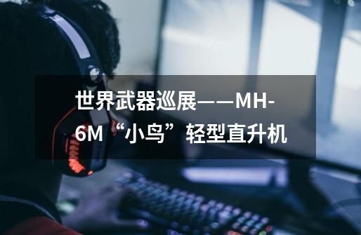 世界武器巡展——MH-6M“小鸟”轻型直升机-第1张-游戏资讯-龙启科技