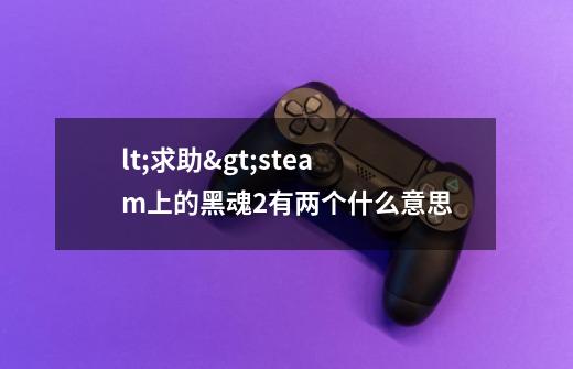 lt;求助>steam上的黑魂2有两个什么意思-第1张-游戏资讯-龙启科技