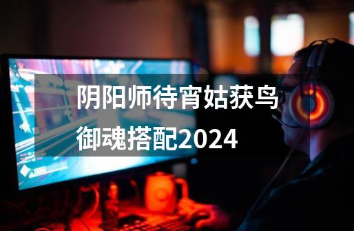 阴阳师待宵姑获鸟御魂搭配2024-第1张-游戏资讯-龙启科技