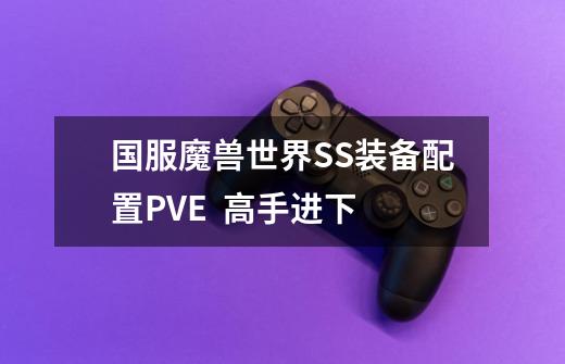 国服魔兽世界SS装备配置PVE  高手进下-第1张-游戏资讯-龙启科技