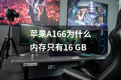 苹果A166为什么内存只有16 GB-第1张-游戏资讯-龙启科技