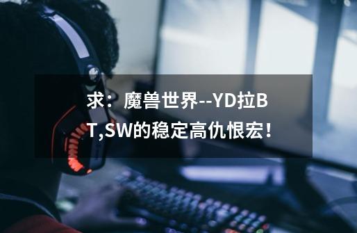 求：魔兽世界--YD拉BT,SW的稳定高仇恨宏！-第1张-游戏资讯-龙启科技