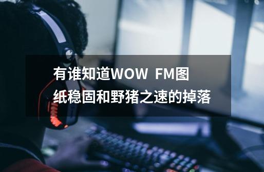 有谁知道WOW  FM图纸稳固和野猪之速的掉落-第1张-游戏资讯-龙启科技